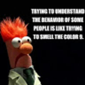 Meet your Posher, Phoenix